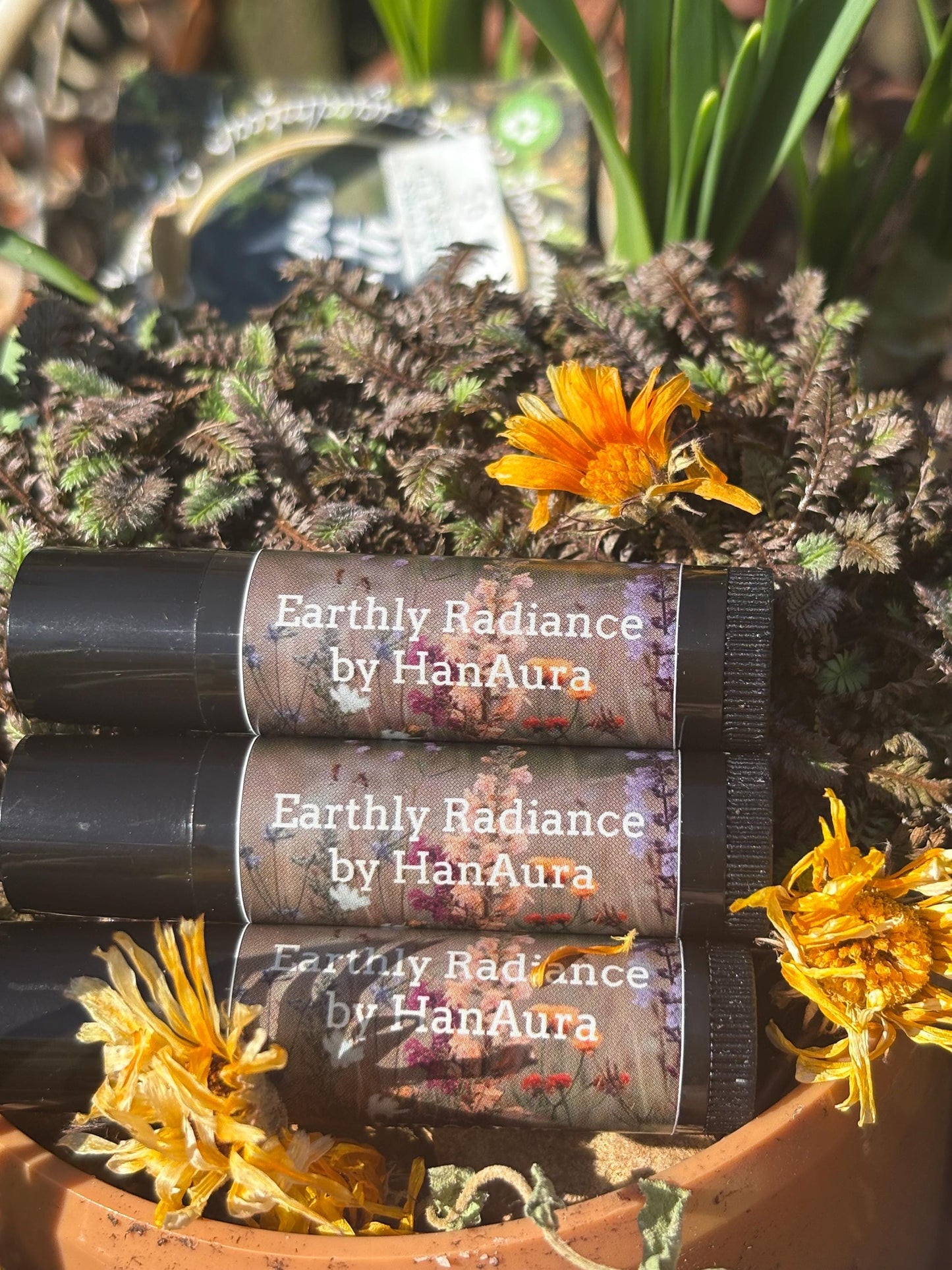 Lip Salve/Balm